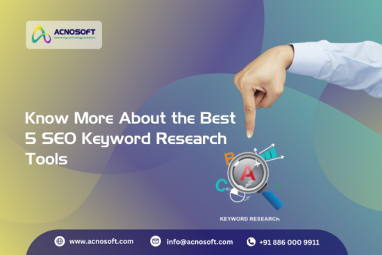 SEO Service Agency Delhi